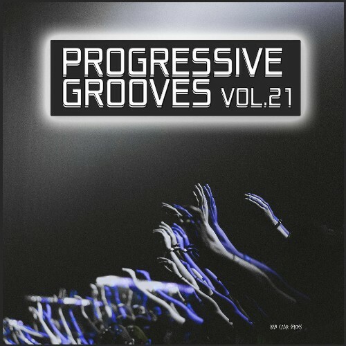  Progressive Grooves, Vol. 21 (2025) 