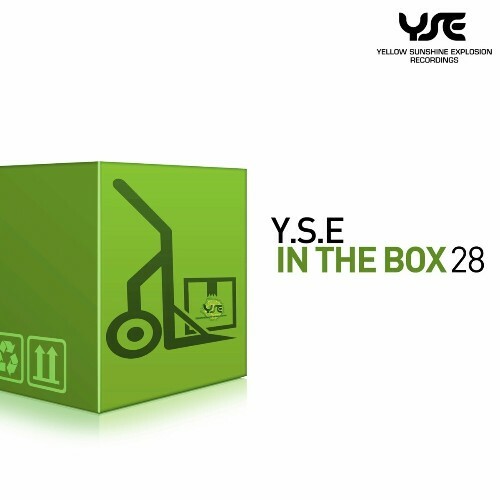  Y.S.E in the Box, Vol. 28 (2024) 