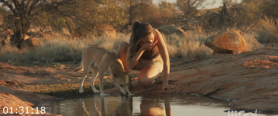 [Kép: ME19XUY7_o.png]