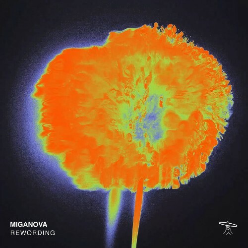  MIGANOVA - MIGANORewording (2024) 