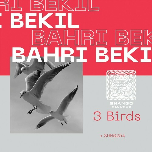 Bahri Bekil - 3 Birds (2024)