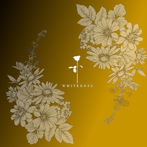  Talal - Delta (2025) 