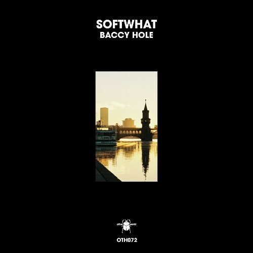 VA -  Softwhat - Baccy Hole (2024) [MP3] MEVHS68_o