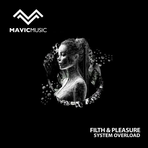 VA -  Filth & Pleasure - System Overload (2024) [MP3] MEWGDSM_o