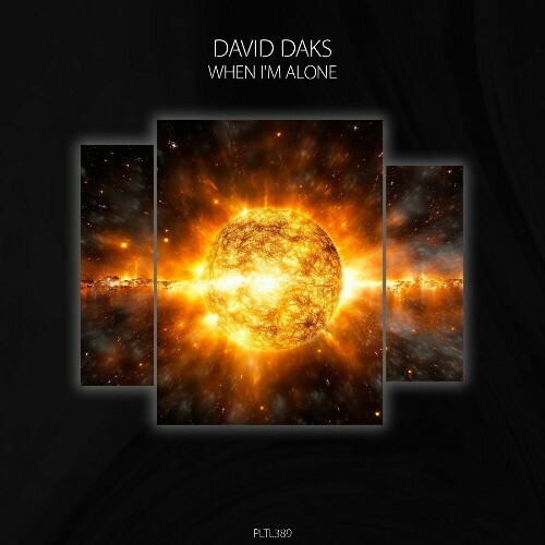  David Daks - When I'm Alone (2025) 