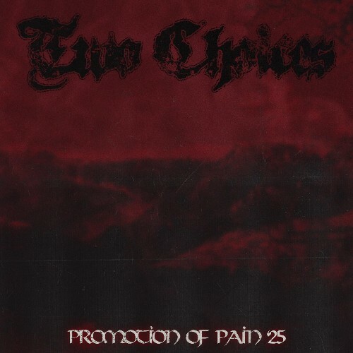 Two Choices - Promotion Of Pain '25 (2025) Two Choices - Promotion Of Pain '25 (2025)