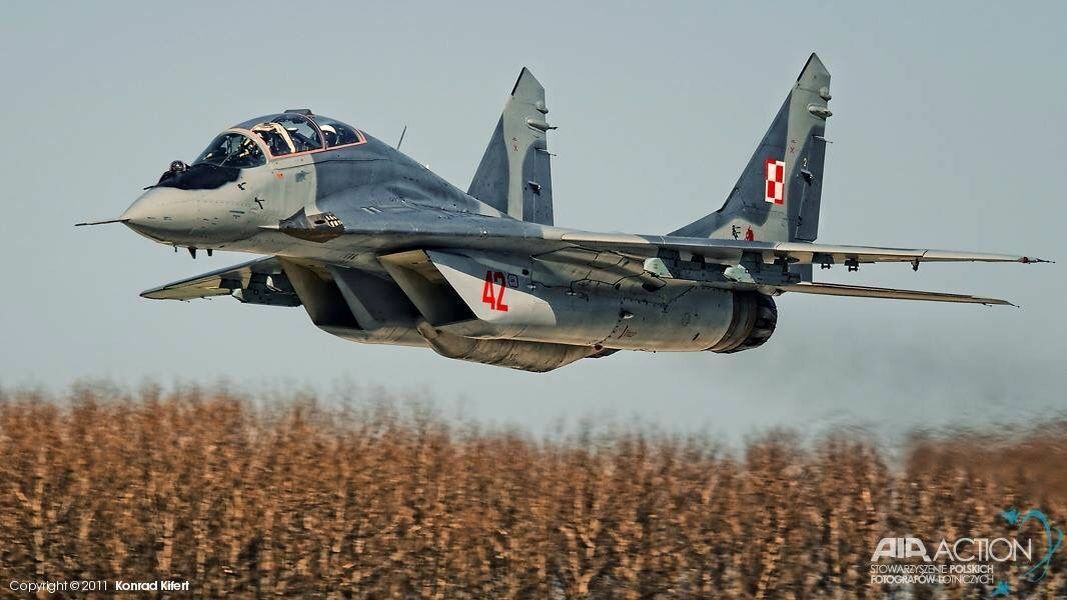 ME12F1DO_o.jpg