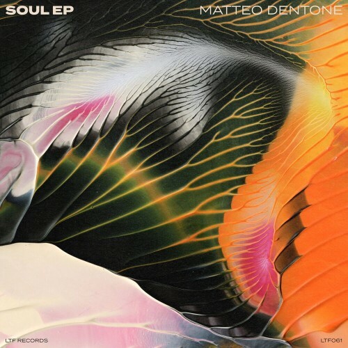  Matteo Dentone - Soul (2025) 