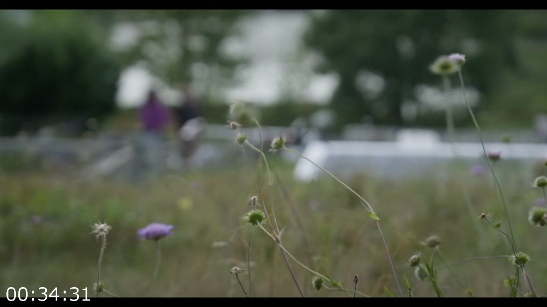 [Image: ME16MNIN_o.png]