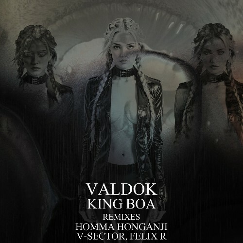  Valdok - King Boa (Remixes) (2025) 