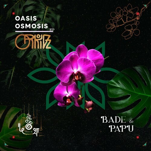  Orkidz - Oasis Osmosis (2023) 