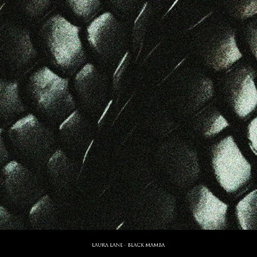 VA - Laura Lane - Black Mamba (2024) (MP3) METUM1J_o