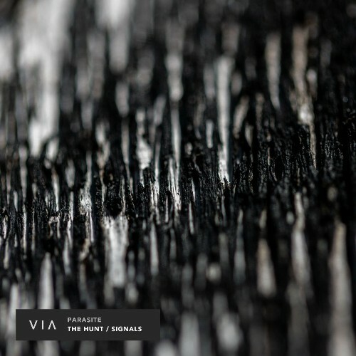  Parasite - The Hunt/Signals (2026) 