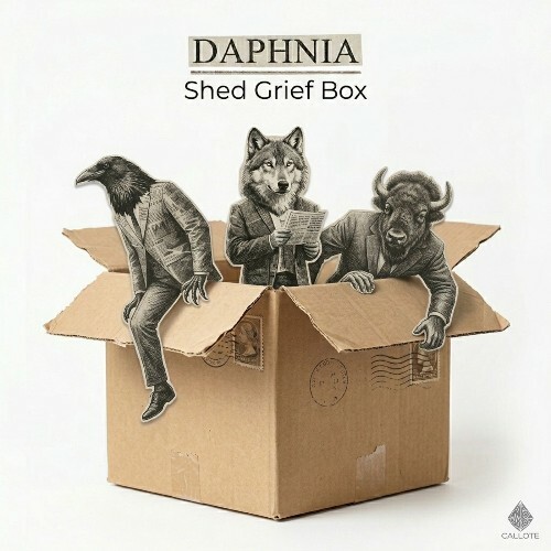 Daphnia — Shed Grief Box (2026)