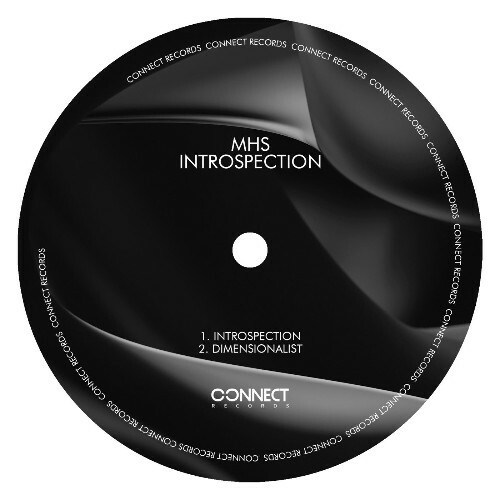 MHS - Introspection (2026) MHS - Introspection (2026)