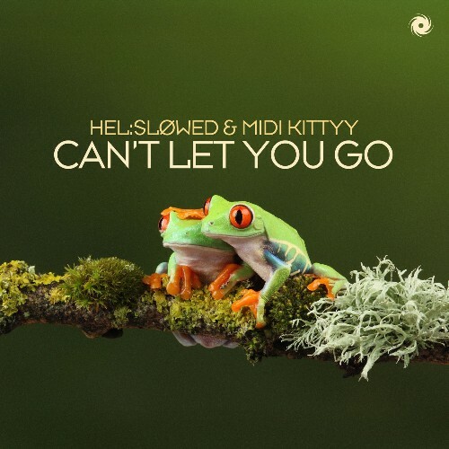  Hel:slowed & Midi Kittyy - Can't Let You Go (2026) 
