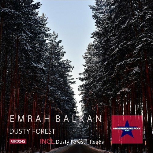  Emrah Balkan - Dusty Forest (2024) MP3 MEVDK3J_o