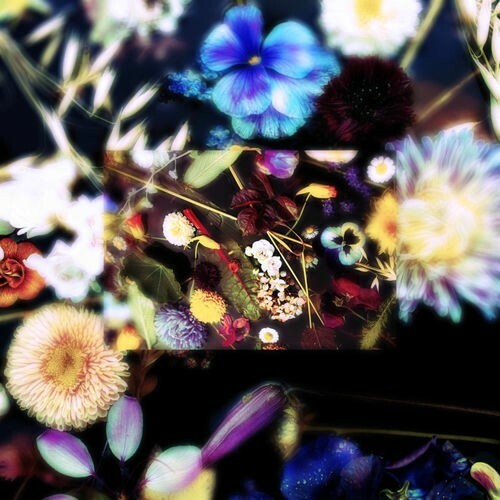  Yola - She is Love (2025) 