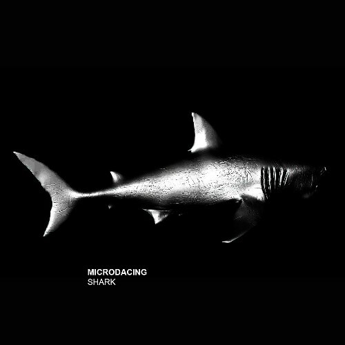 Microdancing - Shark (2026) 