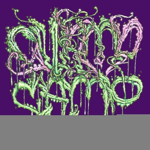  Swamp Camp (Tha Truth & Boxguts) - Swamp Camp (2026) 