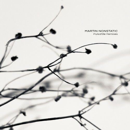  Martin Nonstatic - Pulsatille (Remixes) (2024) 