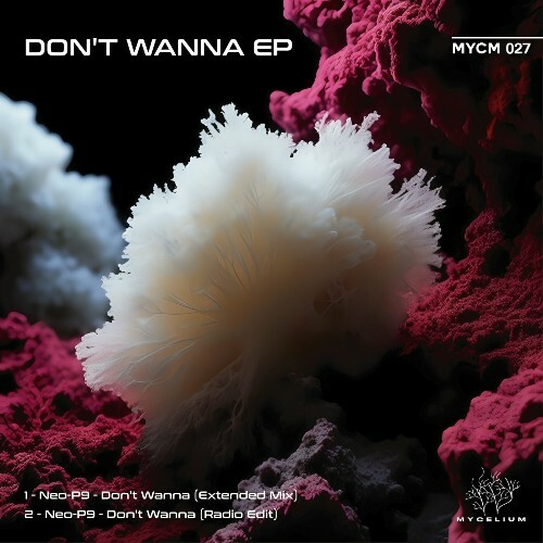  Neo-P9 - Don't Wanna (2024) 