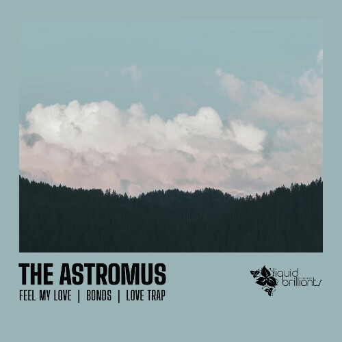  The Astromus - Feel My Love (2024) 