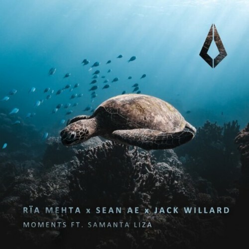 VA - Ria Mehta with Sean Ae & Jack Willard ft Samanta Liza - Moments (2024) (MP3)