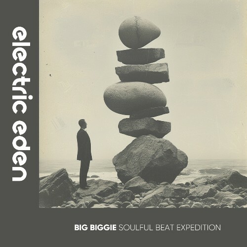 VA - Big Biggie - Soulful Beat Expedition (2024) (MP3) METL58M_o