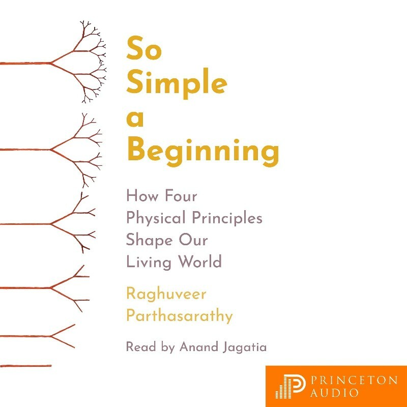 So Simple A Beginning (Zach Marshall)