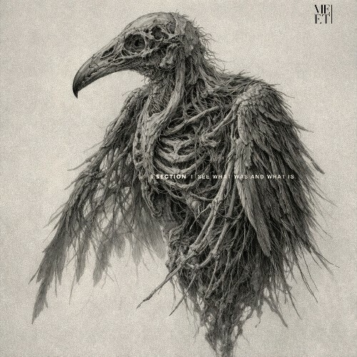  � Section - See What Was and What Is (2026) 