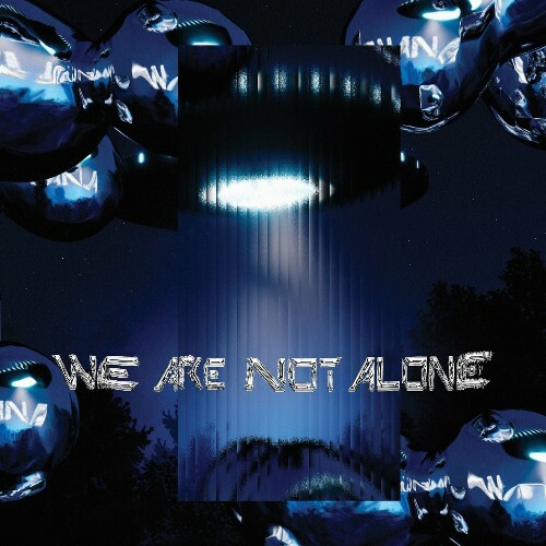 VA - Ellen Allien pres. We Are Not Alone, Pt. 7 (2024) (MP3) METWPI0_o