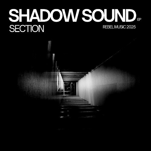  Section - Shadow Sound (2025) 