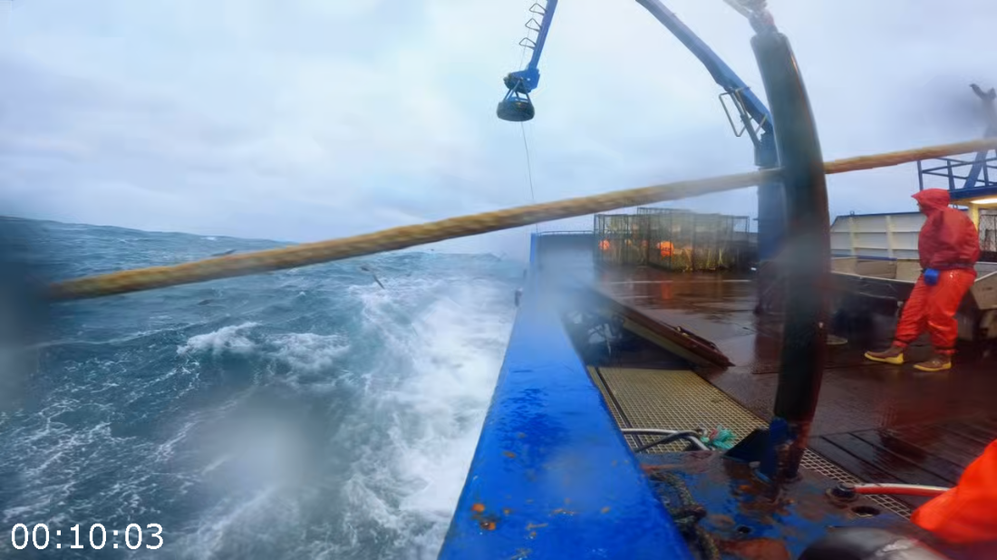 [Image: ME175822_o.png]