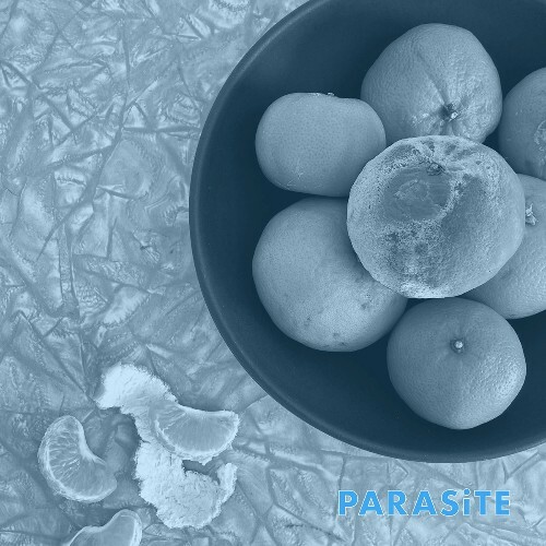  Cell Rot - Parasite (2025) 