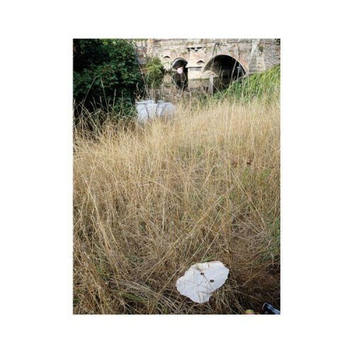  Germ Lattice - Corpusty (2025) 