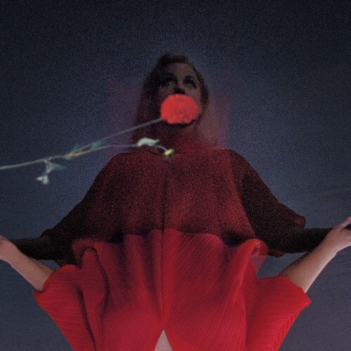  Amy Millan - I Went To Find You (2025) 