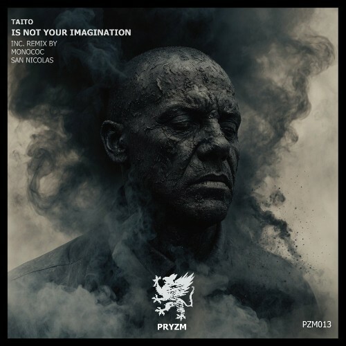 VA - Taito - Its Not Your Imagination (2024) (MP3) MEULW0K_o