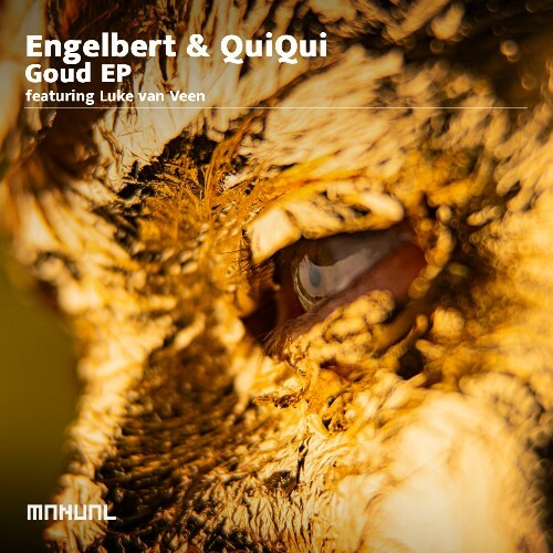  QuiQui, Engelbert - Goud (2025) 
