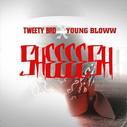  Tweety Brd - Sheeeesh (Feat. Young Bloww) (2025) 