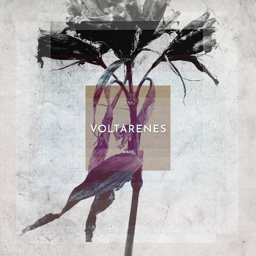  Voltarenes - Wave (2024) 