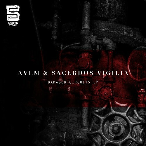  AVLM & Sacerdos Vigilia - Damaged Circuits (2024) 