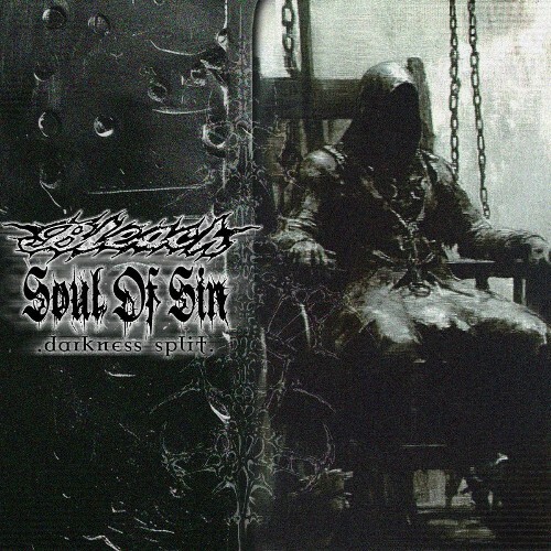  Bleach - Darkness Split (2026) 