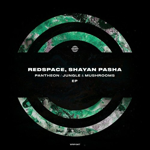  Redspace & Shayan Pasha - Pantheon / Jungle & Mushrooms (2025) 