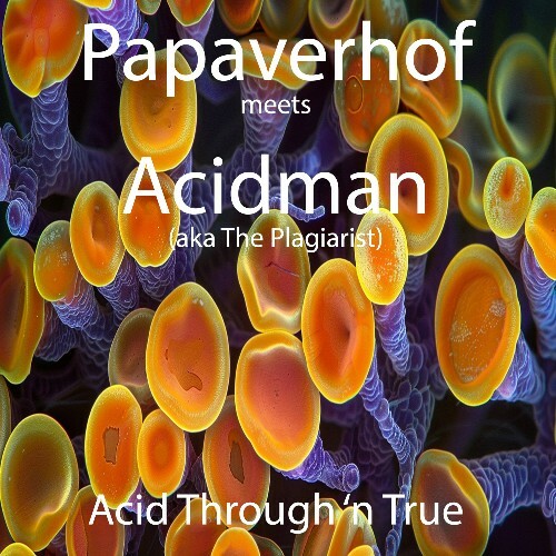  Papaverhof meets Acidman aka the "Plagiarist - Acid Through'n True (2025) 