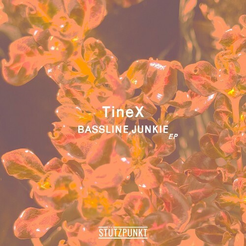  TineX & St&#252;tzpunkt - Bassline Junkie (2024) 