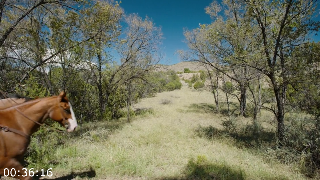 [Kép: ME1B1P4R_o.png]