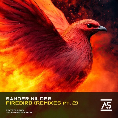  Sander Wilder - Firebird (Remixes, Pt. 2) (2025) 