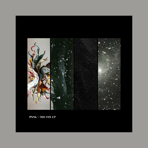  PSNK - The Fox (2026) 
