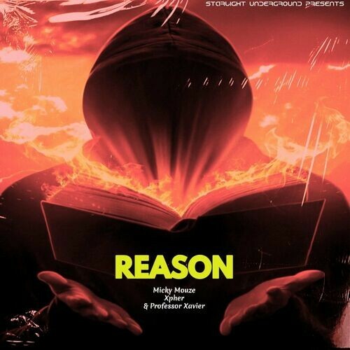 VA - Micky Mouze, Xpher, Professor Xavier - Reason (2023) (MP3)